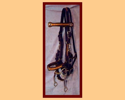 Hand Made Leather & Rawhide Halter-Bridle - Click Image to Close
